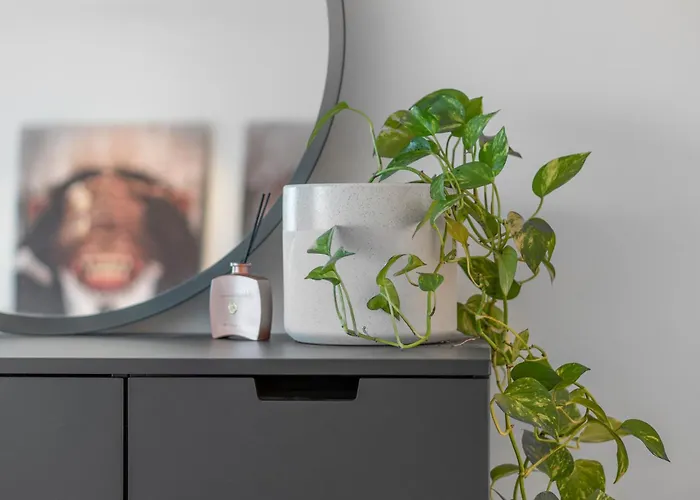 2bd Kings Park Walk Everywhere