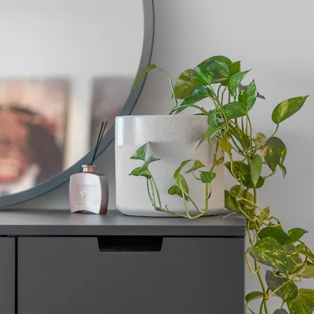 2bd Kings Park Walk Everywhere